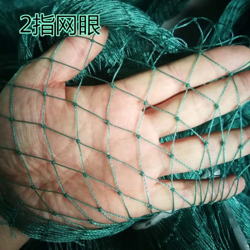 养殖网养鸡网尼龙网拦鸡网围鸡网家禽塑料网护栏网菜园围网防