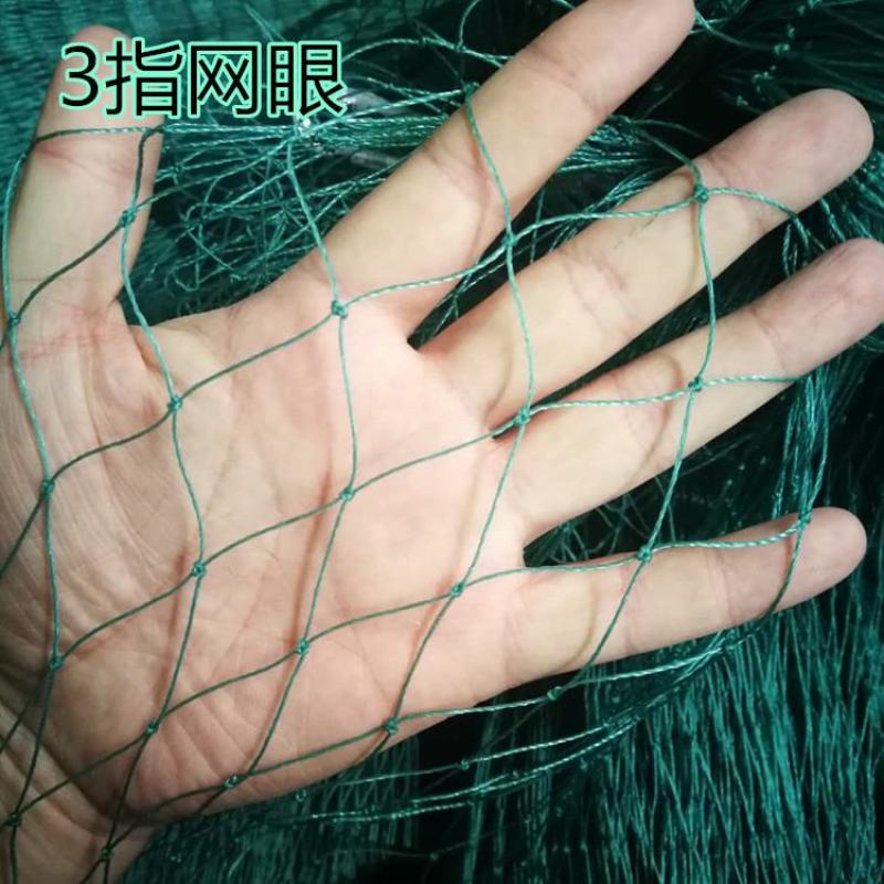 养殖网养鸡网尼龙网拦鸡网围鸡网家禽塑料网护栏网菜园围网防