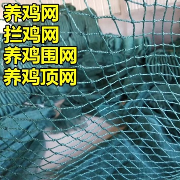 养殖网养鸡网尼龙网拦鸡网围鸡网家禽塑料网护栏网菜园围网防