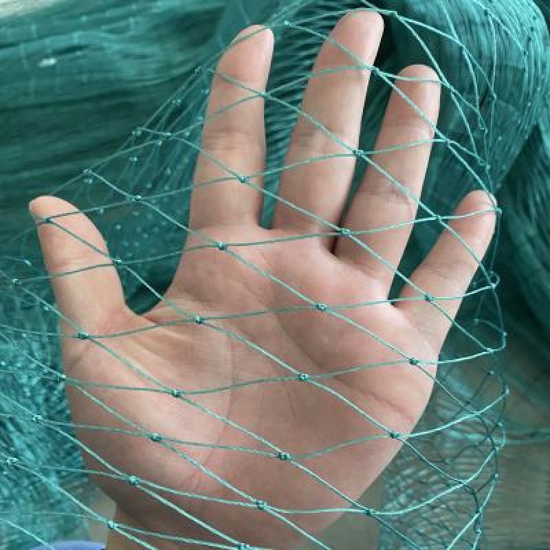 养殖网养鸡网尼龙网拦鸡网围鸡网家禽塑料网护栏网菜园围网防