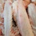 鹅翅，新鹅翅，3节大翅，一件20斤