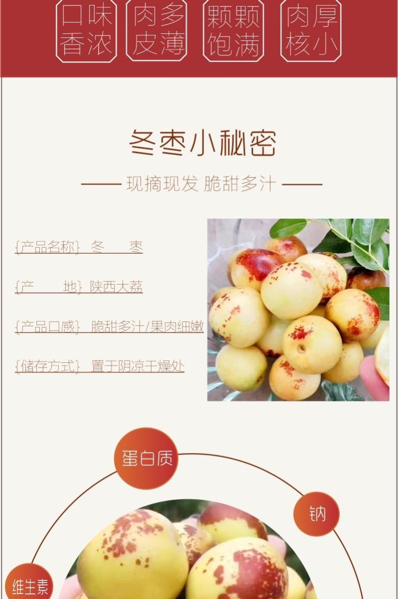 大荔冬枣皮薄肉厚核小脆甜三斤五斤四斤礼盒装支持一件代发