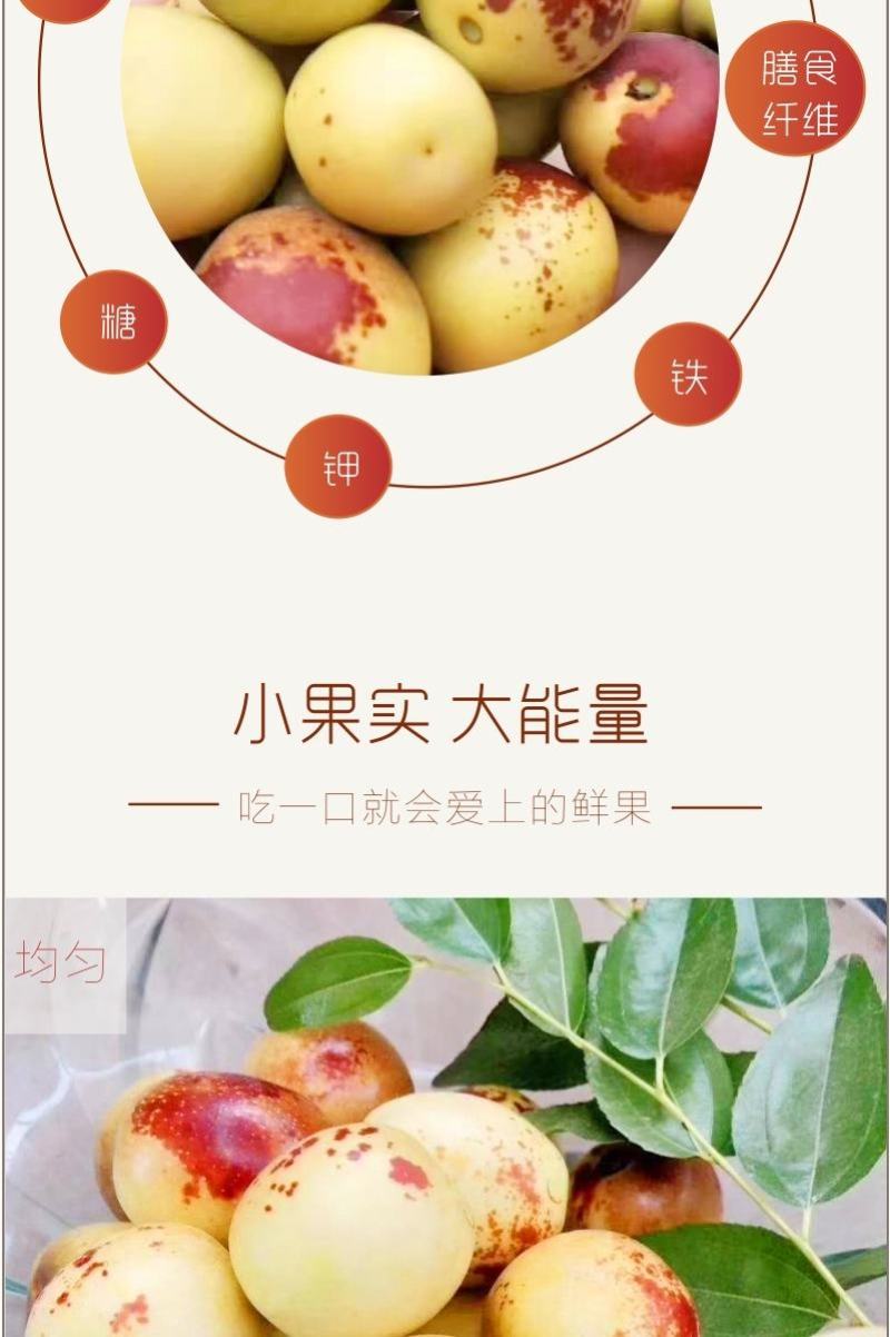 大荔冬枣皮薄肉厚核小脆甜三斤五斤四斤礼盒装支持一件代发