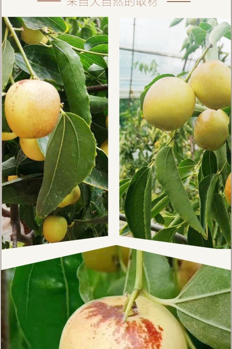 大荔冬枣皮薄肉厚核小脆甜三斤五斤四斤礼盒装支持一件代发