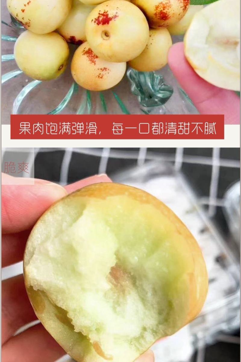大荔冬枣皮薄肉厚核小脆甜三斤五斤四斤礼盒装支持一件代发
