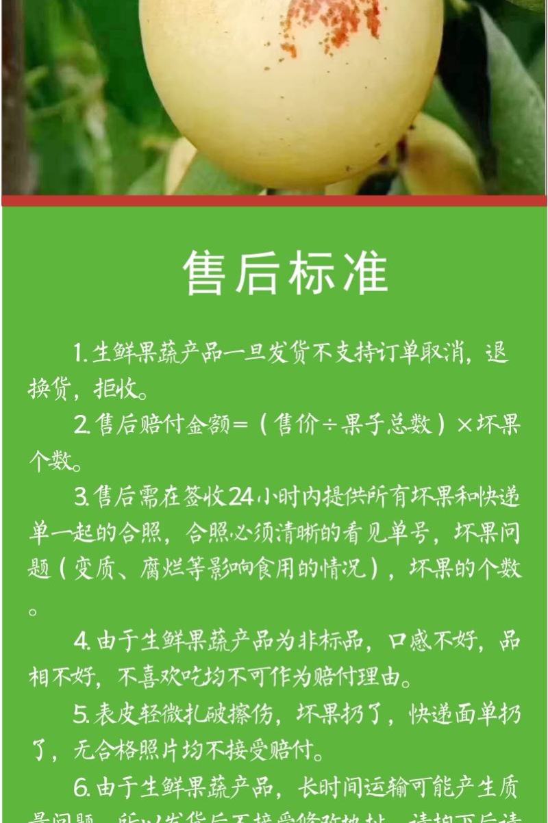 大荔冬枣皮薄肉厚核小脆甜三斤五斤四斤礼盒装支持一件代发