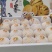 云南精品人参果产地直销