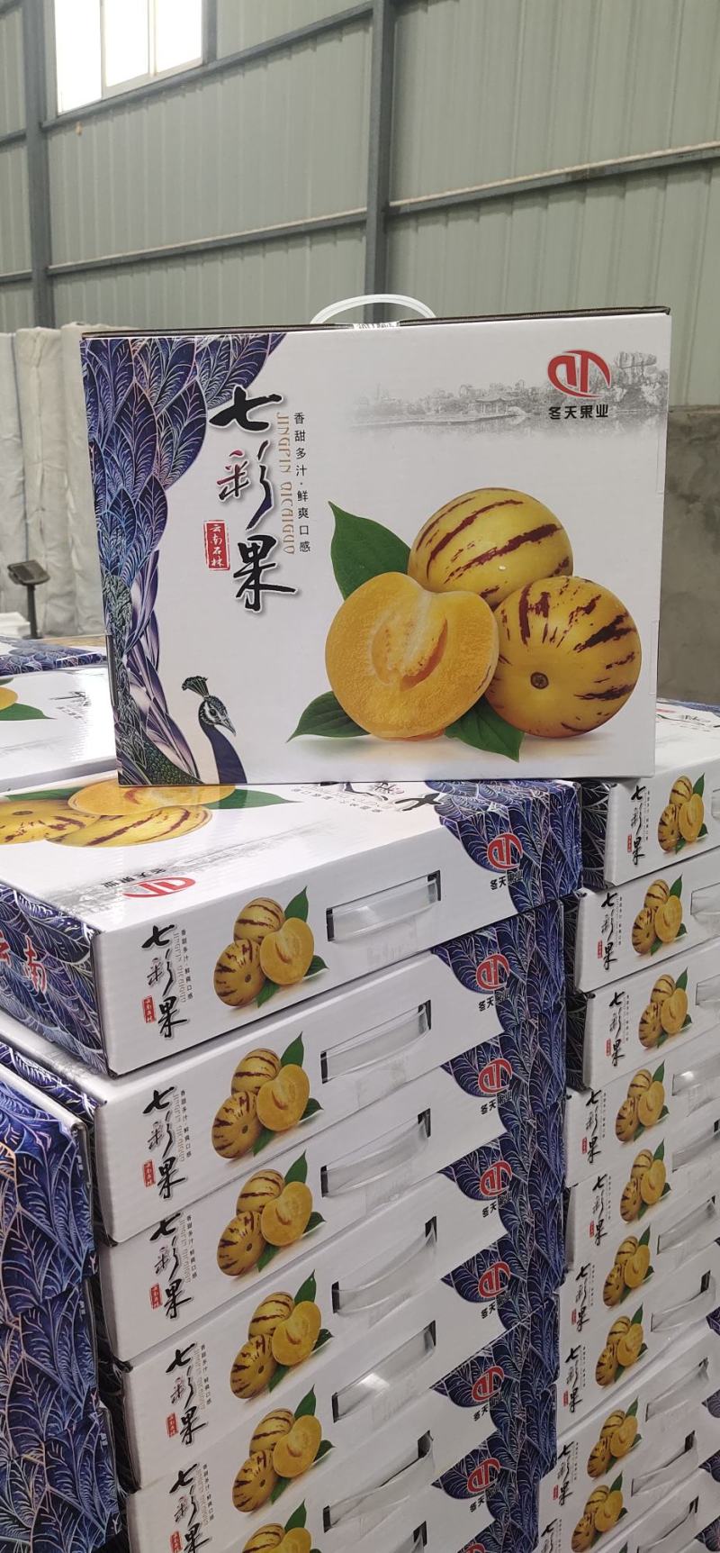 云南精品人参果产地直销