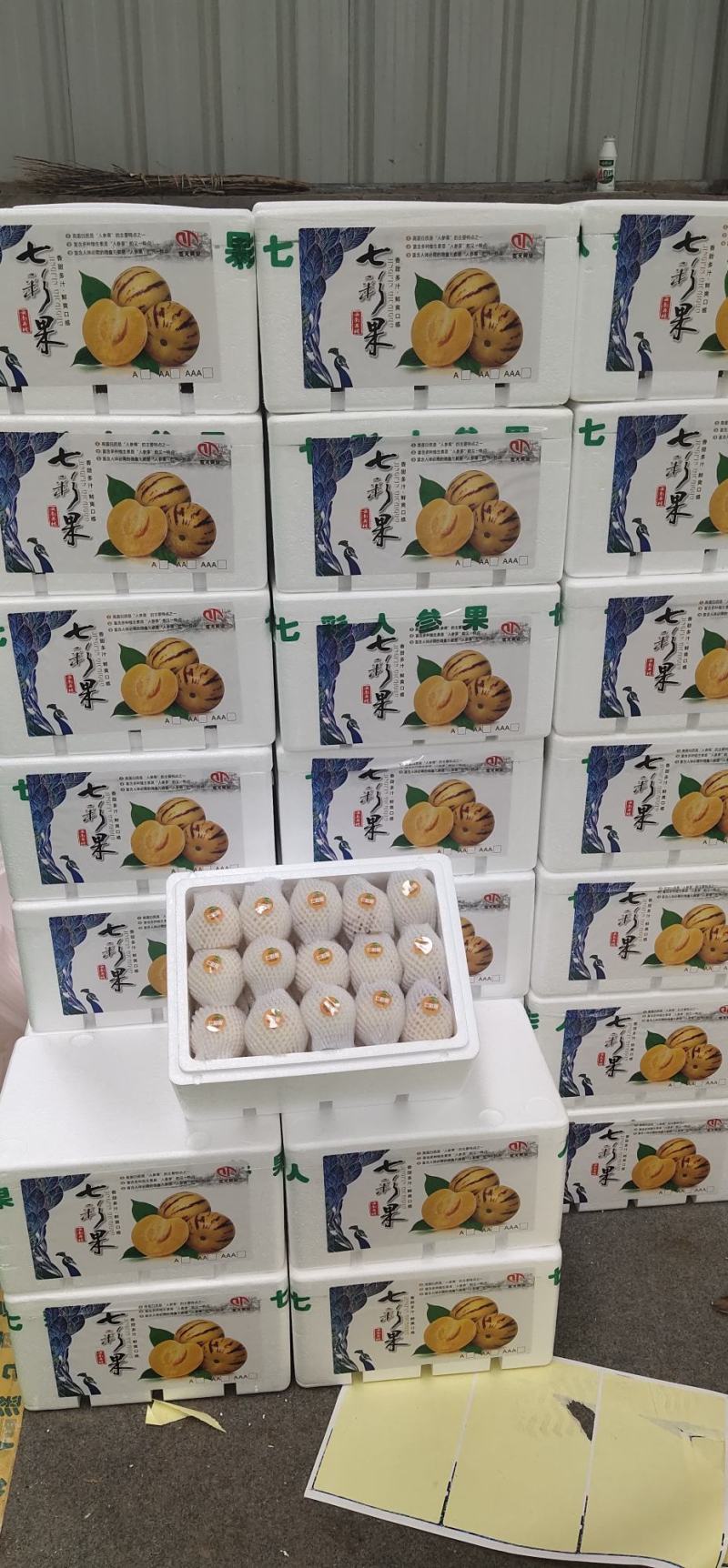 云南精品人参果产地直销