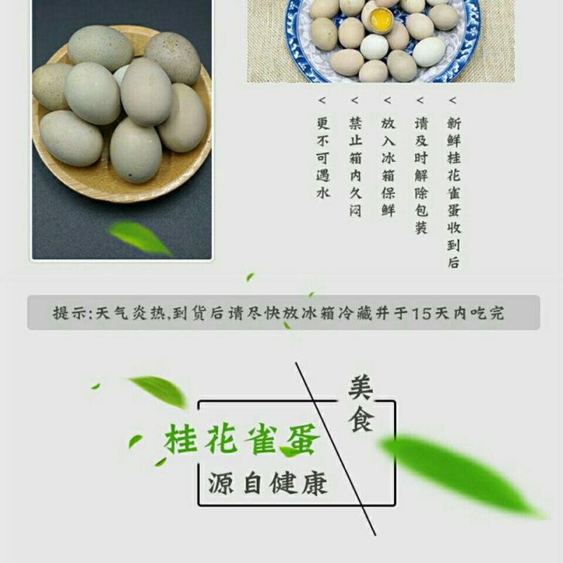 芦丁鸡商品蛋，种蛋种鸡，养殖场一手货源。