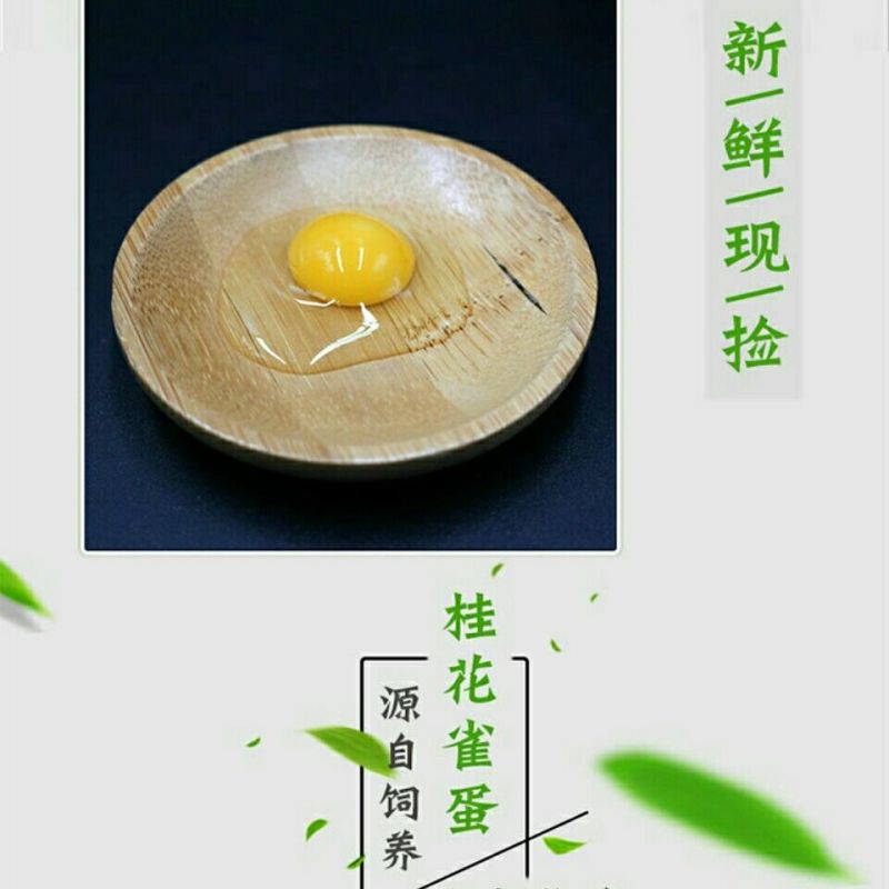 芦丁鸡商品蛋，种蛋种鸡，养殖场一手货源。