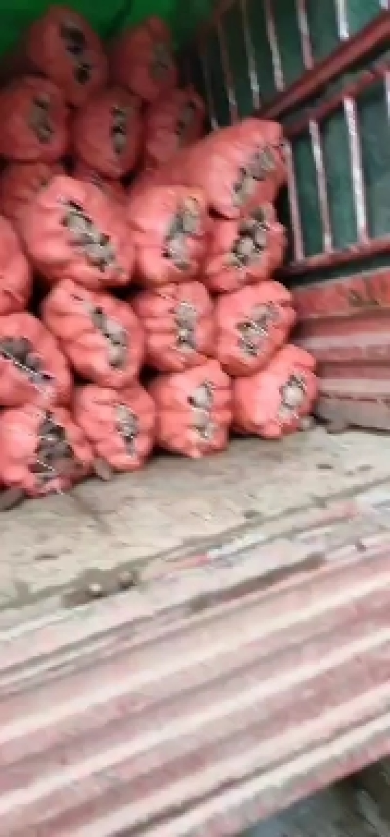 红青薯9号土豆,大量上市,需要的联系