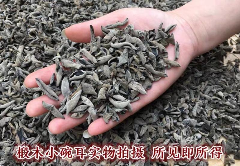 东北产地批发木耳品种齐全量大可咨询支持一件代发
