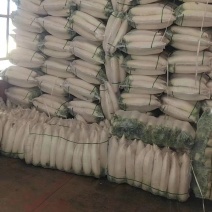 精品高山白萝卜产地大量供应商超出口直供