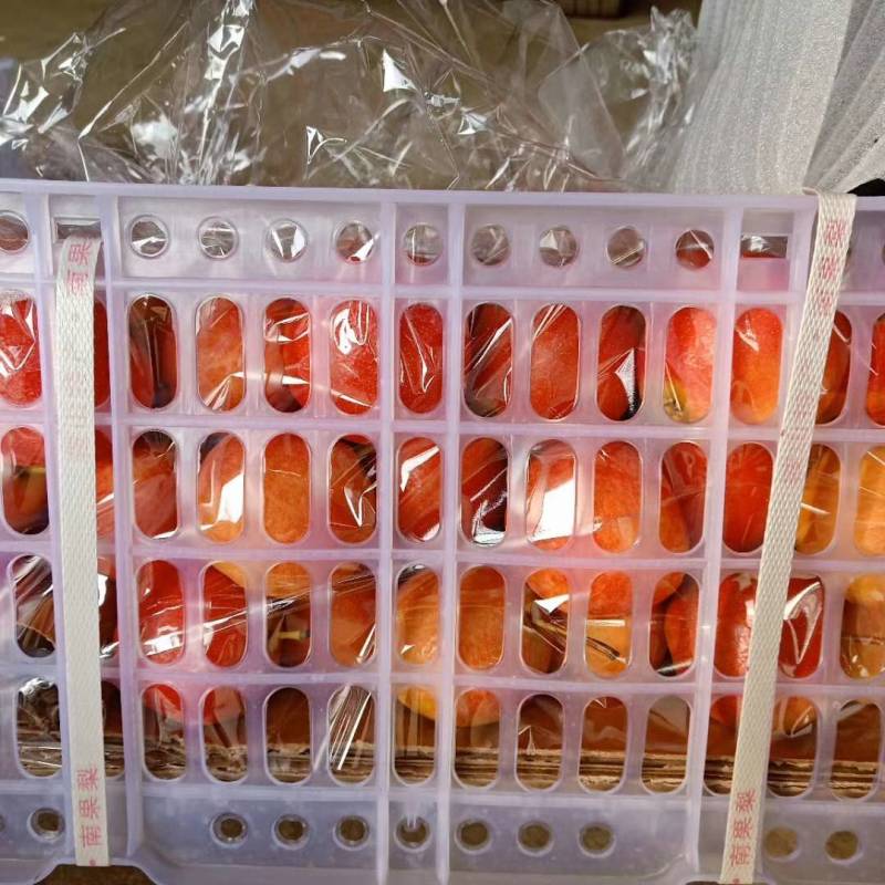 南果梨！就是红！口感嘎嘎甜！专业代办！！！！