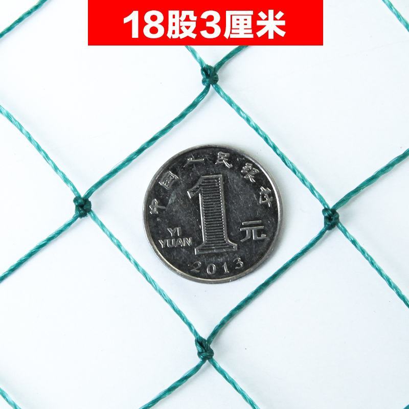 尼龙养殖养鸡网山鸡网围栏网护栏网拦鸡网菜园网防护网