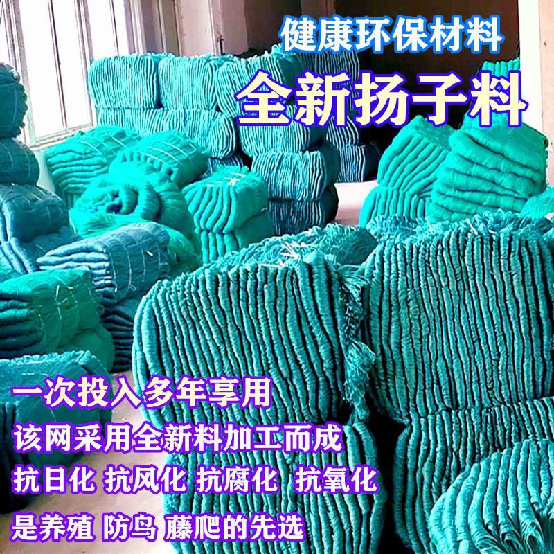 尼龙养殖养鸡网山鸡网围栏网护栏网拦鸡网菜园网防护网