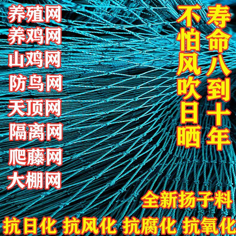 尼龙养殖养鸡网山鸡网围栏网护栏网拦鸡网菜园网防护网