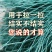 尼龙养殖养鸡网山鸡网围栏网护栏网拦鸡网菜园网防护网