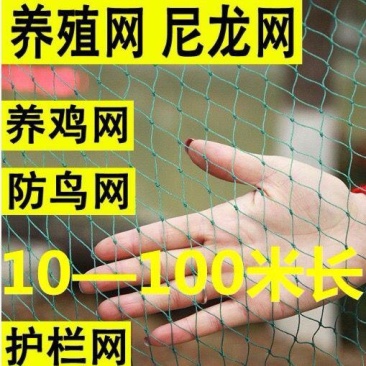尼龙养殖养鸡网山鸡网围栏网护栏网拦鸡网菜园网防护网