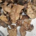 食用菌干货！！！！！！