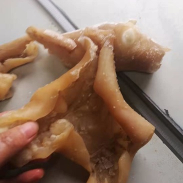 牛腿皮，高质量牛腿皮货源稳当