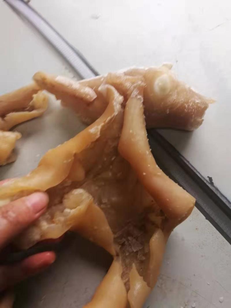 牛腿皮，高质量牛腿皮货源稳当