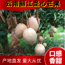 【热销中】可对接（电商，微商，直播适合各大市场货源