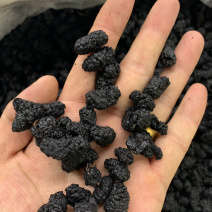 桑葚桑葚子药食同源无硫磺熏蒸一斤起批