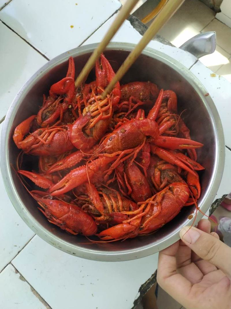 洪湖特产德严麻辣小龙虾一盒克发一盒900g急速发货