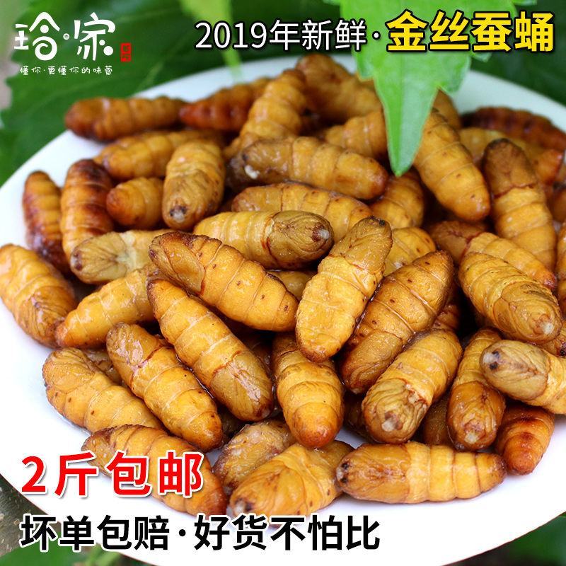 新鲜金丝蚕蛹湖州特产农家头蚕活体速冻桑蚕冷冻鲜活小蚕蛹非