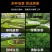 园林不锈钢大剪刀园艺绿篱剪草坪修剪修枝剪花草树枝剪包邮