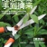 园林不锈钢大剪刀园艺绿篱剪草坪修剪修枝剪花草树枝剪包邮