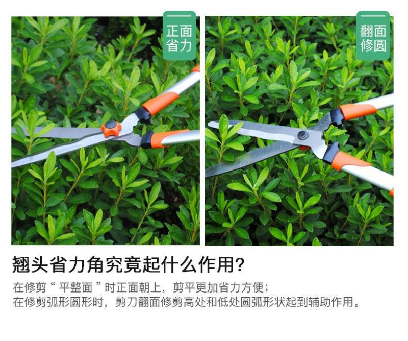 园林不锈钢大剪刀园艺绿篱剪草坪修剪修枝剪花草树枝剪包邮