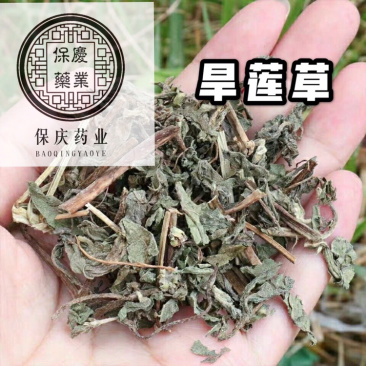 旱莲草新货墨旱莲保庆药材批发中药材旱莲草