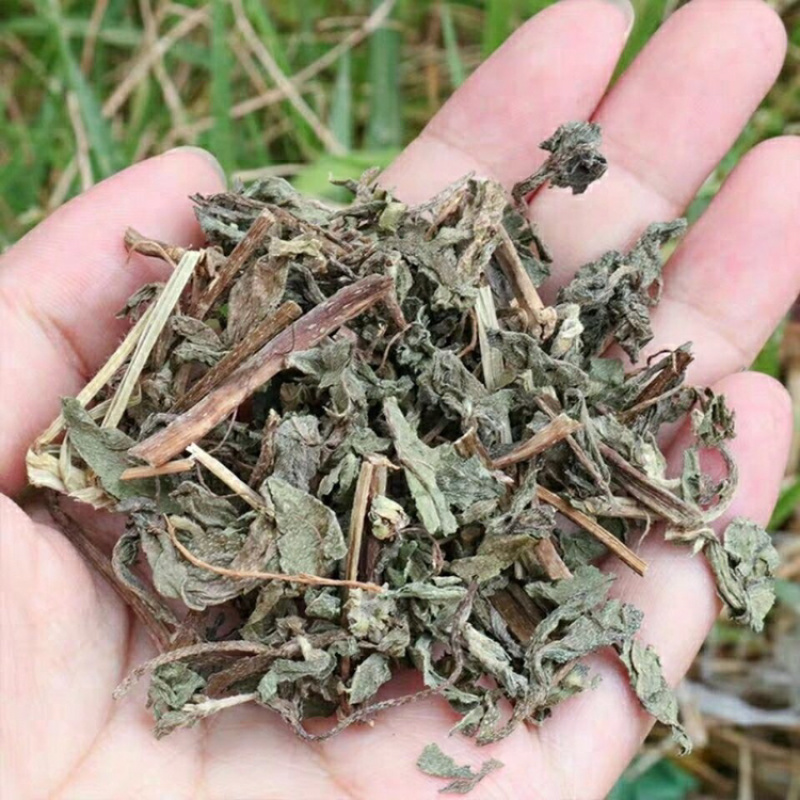旱莲草新货墨旱莲保庆药材批发中药材旱莲草