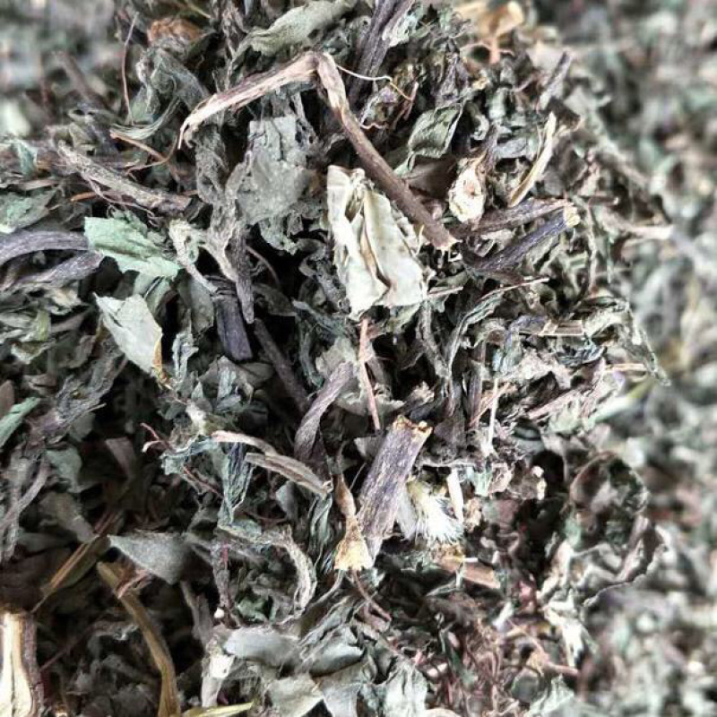 旱莲草新货墨旱莲保庆药材批发中药材旱莲草