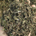 旱莲草新货墨旱莲保庆药材批发中药材旱莲草