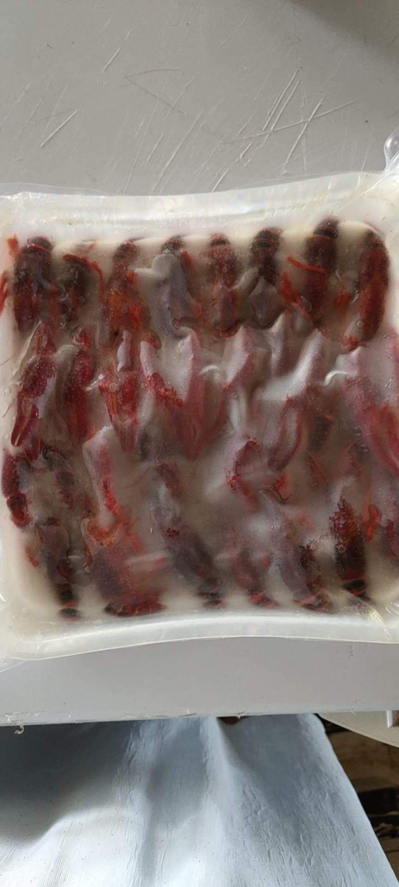 洪湖特产德严麻辣小龙虾一盒克发一盒900g急速发货