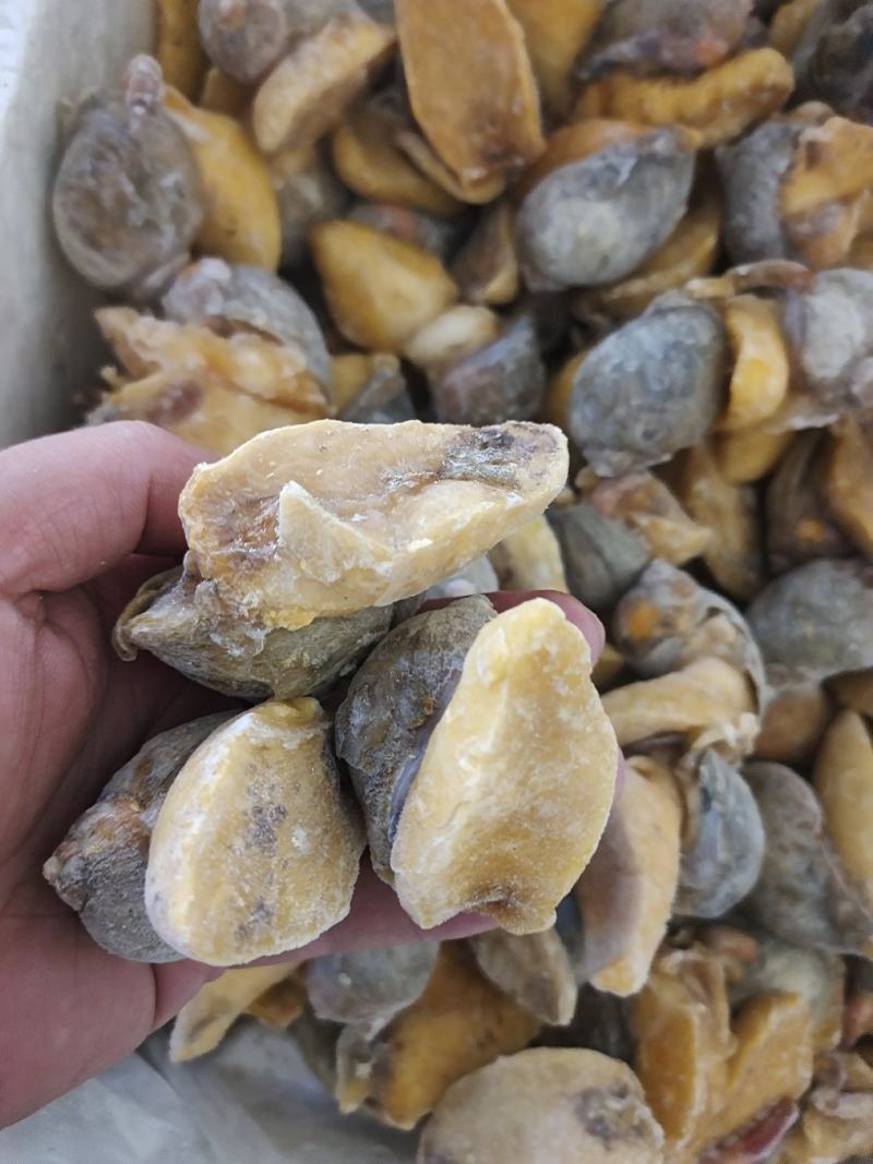 网红鲍螺纯干冰货也叫漂烫假鲍鱼