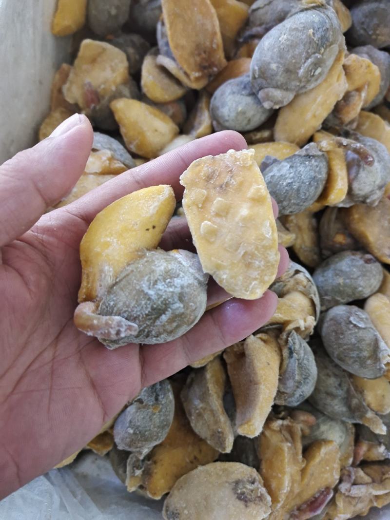 网红鲍螺纯干冰货也叫漂烫假鲍鱼