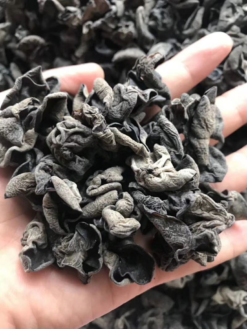 东北黑木耳，拿货16块钱一斤