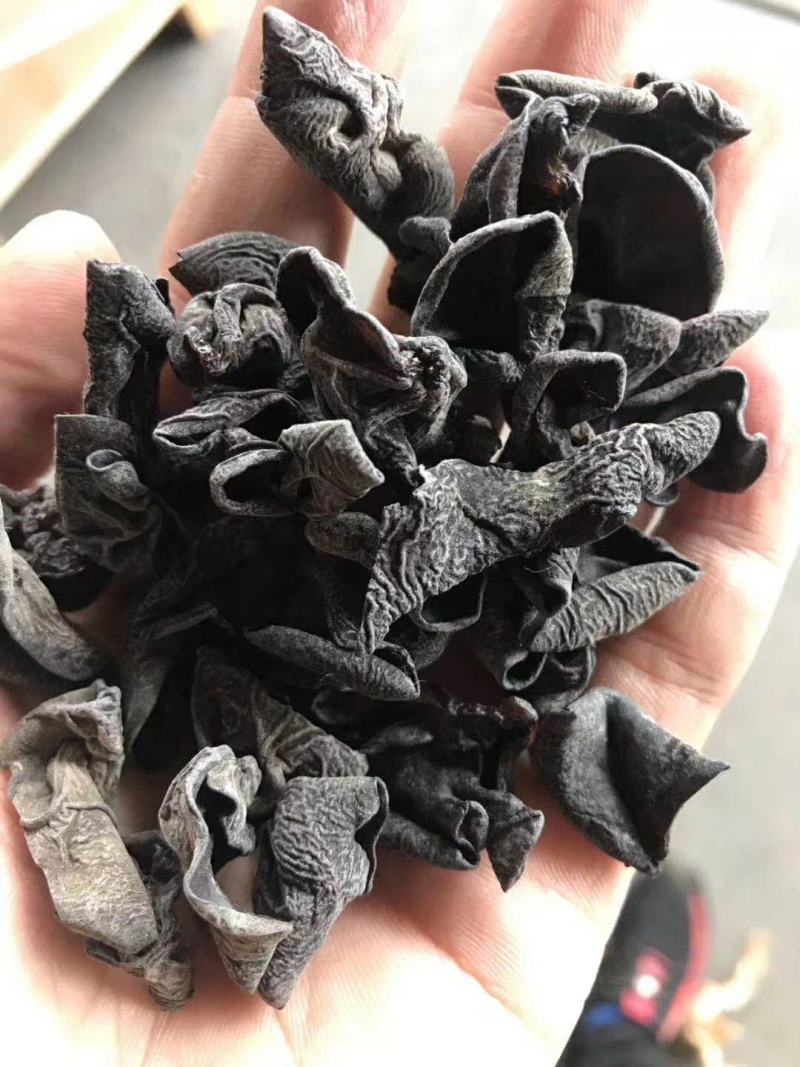 东北黑木耳，拿货16块钱一斤