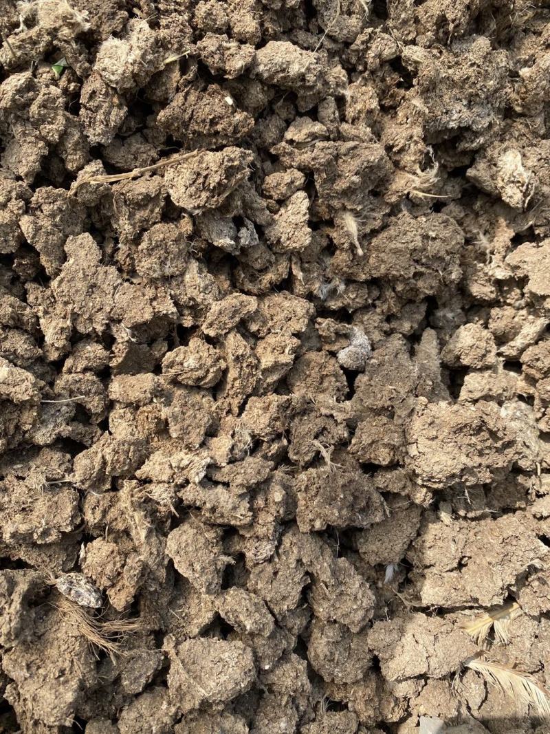 鹌鹑粪颗粒有机肥颗粒鹌鹑粪块状鹌鹑粪肥料