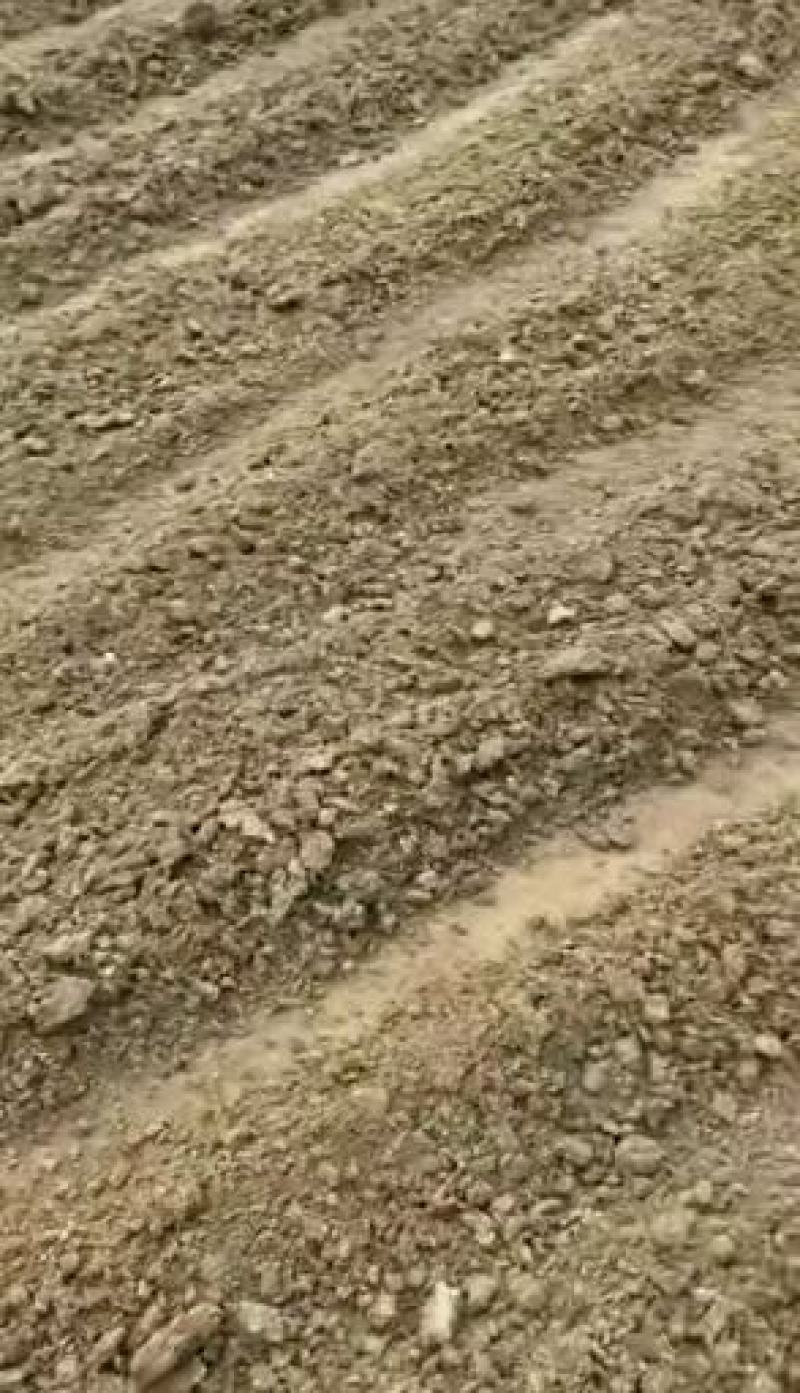鹌鹑粪颗粒有机肥颗粒鹌鹑粪块状鹌鹑粪肥料