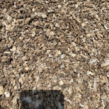 鹌鹑粪颗粒有机肥颗粒鹌鹑粪块状鹌鹑粪肥料