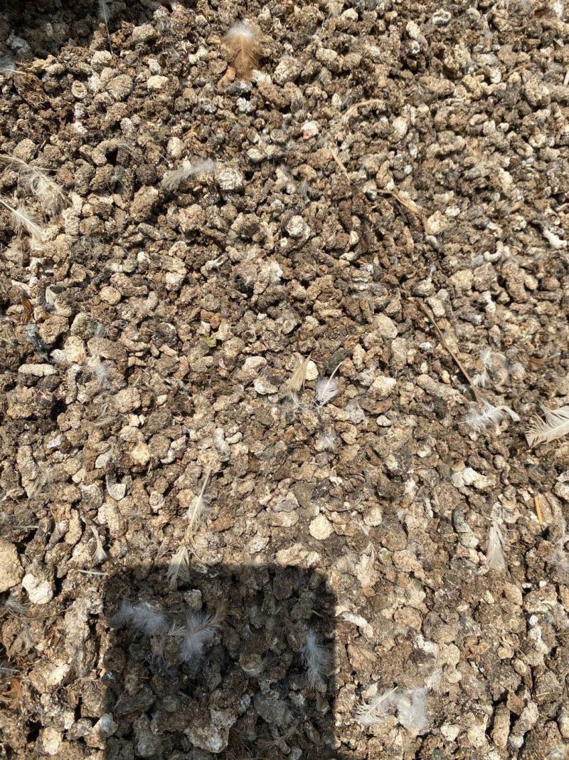 鹌鹑粪颗粒有机肥颗粒鹌鹑粪块状鹌鹑粪肥料