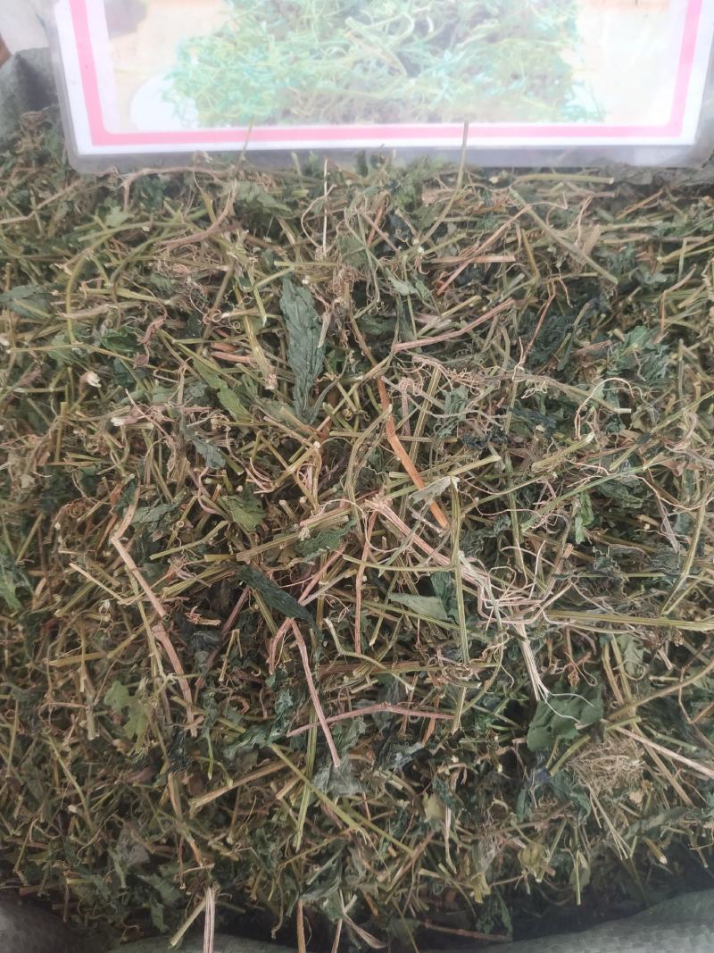 广西玉林精选货~绞股蓝～甜绞股蓝～新货～欢迎老板选购～