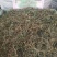 广西玉林精选货~绞股蓝～甜绞股蓝～新货～欢迎老板选购～