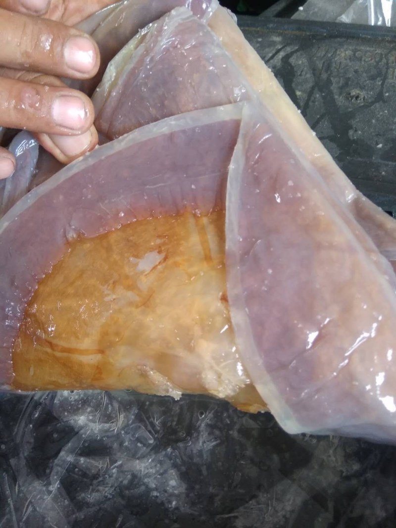 海蜇皮无沙正宗厂家直销‘